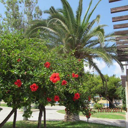 Hacienda Bellamar Διαμέρισμα San Pedro del Pinatar Εξωτερικό φωτογραφία